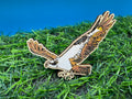 Nora the Osprey - hand drawn laser cut wood pin badge