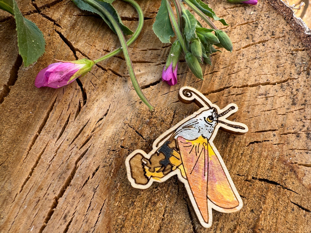 Hilary the Hummingbird Hawk Moth - hand drawn, laser cut wood pin badge