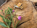Hilary the Hummingbird Hawk Moth - hand drawn, laser cut wood pin badge