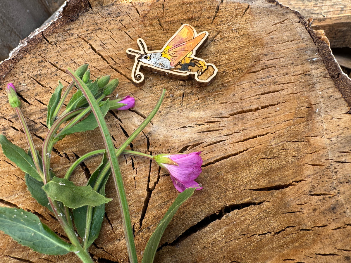 Hilary the Hummingbird Hawk Moth - hand drawn, laser cut wood pin badge