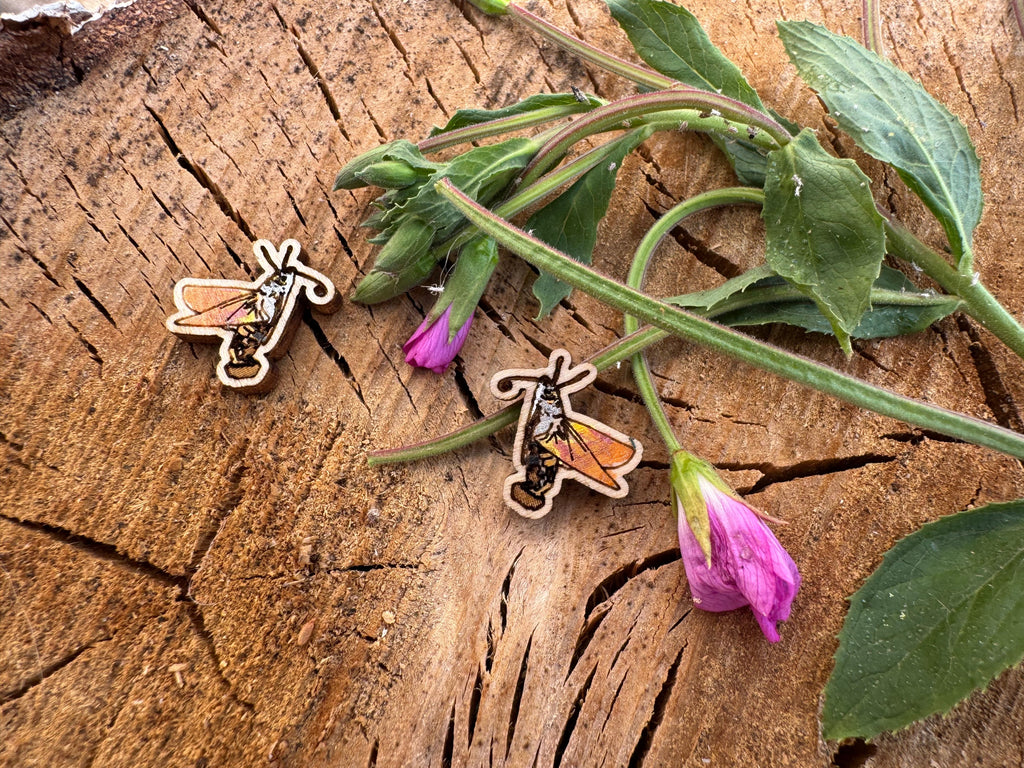 Hilary the Hummingbird Hawk Moth - hand drawn, laser cut, wood stud earrings