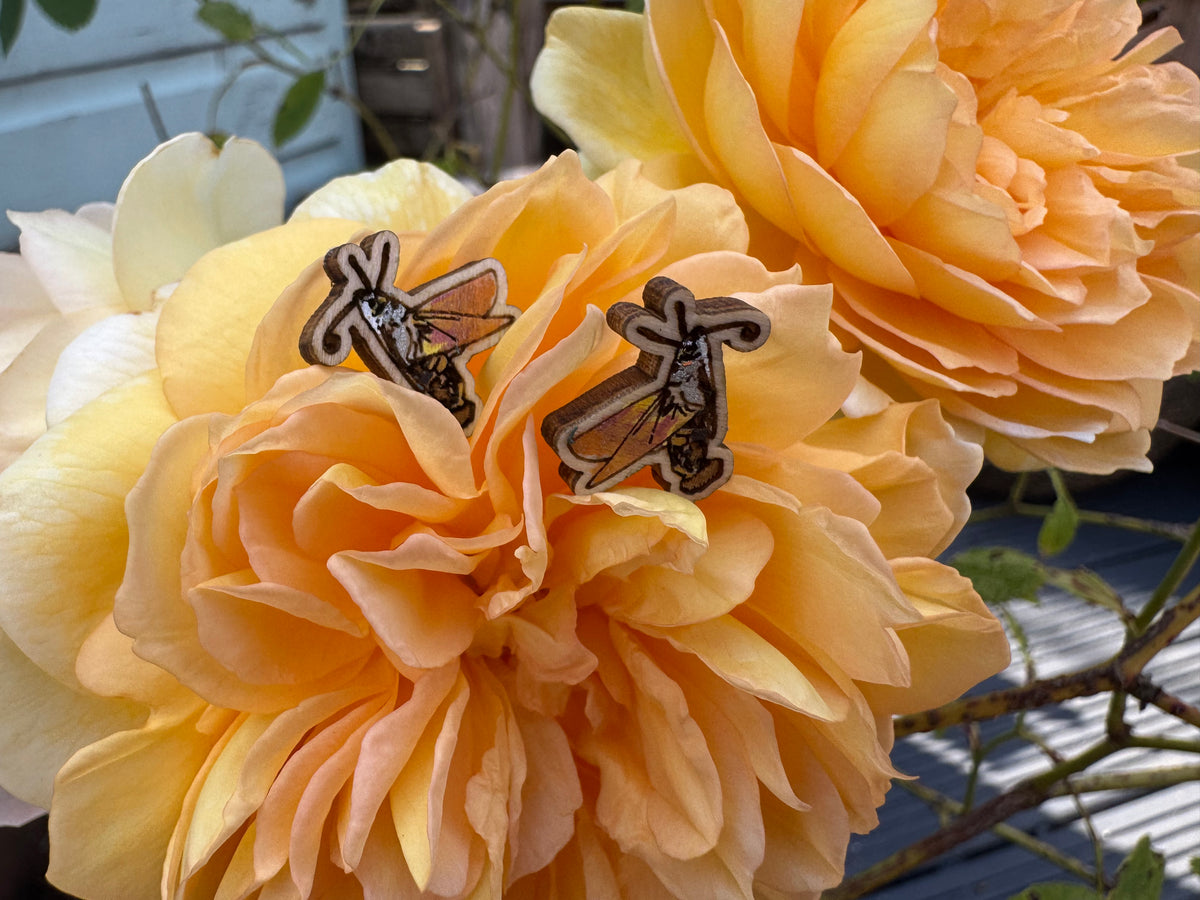 Hilary the Hummingbird Hawk Moth - hand drawn, laser cut, wood stud earrings