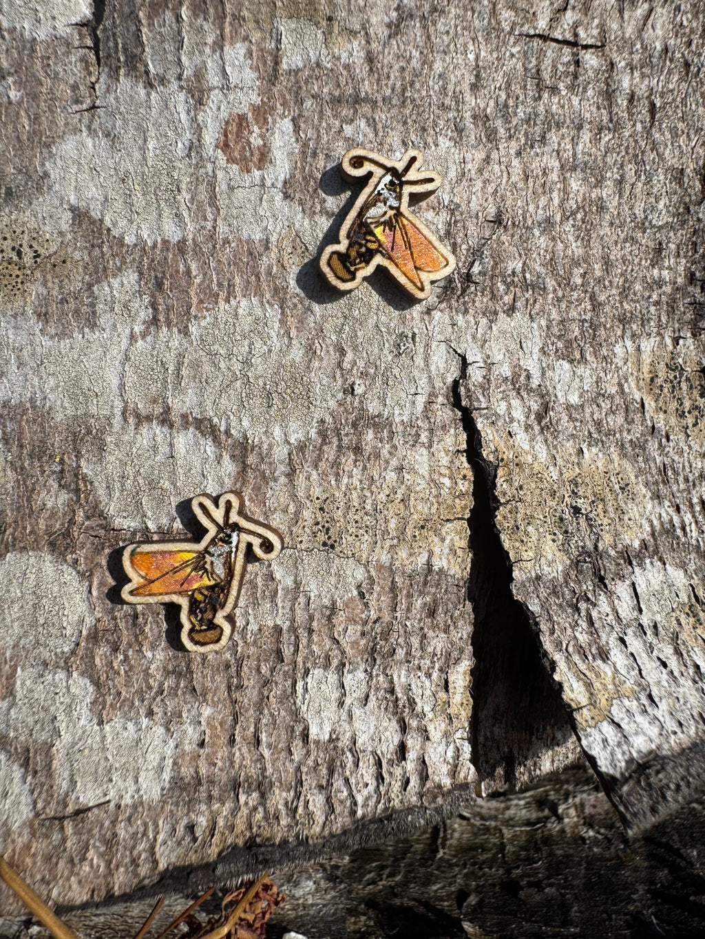 Hilary the Hummingbird Hawk Moth - hand drawn, laser cut, wood stud earrings
